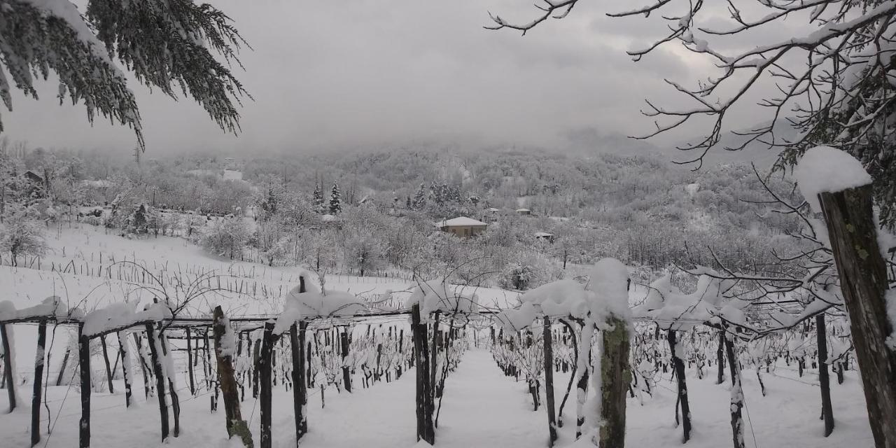 Auberge de jeunesse Dimis Ferdobi Extérieur photo